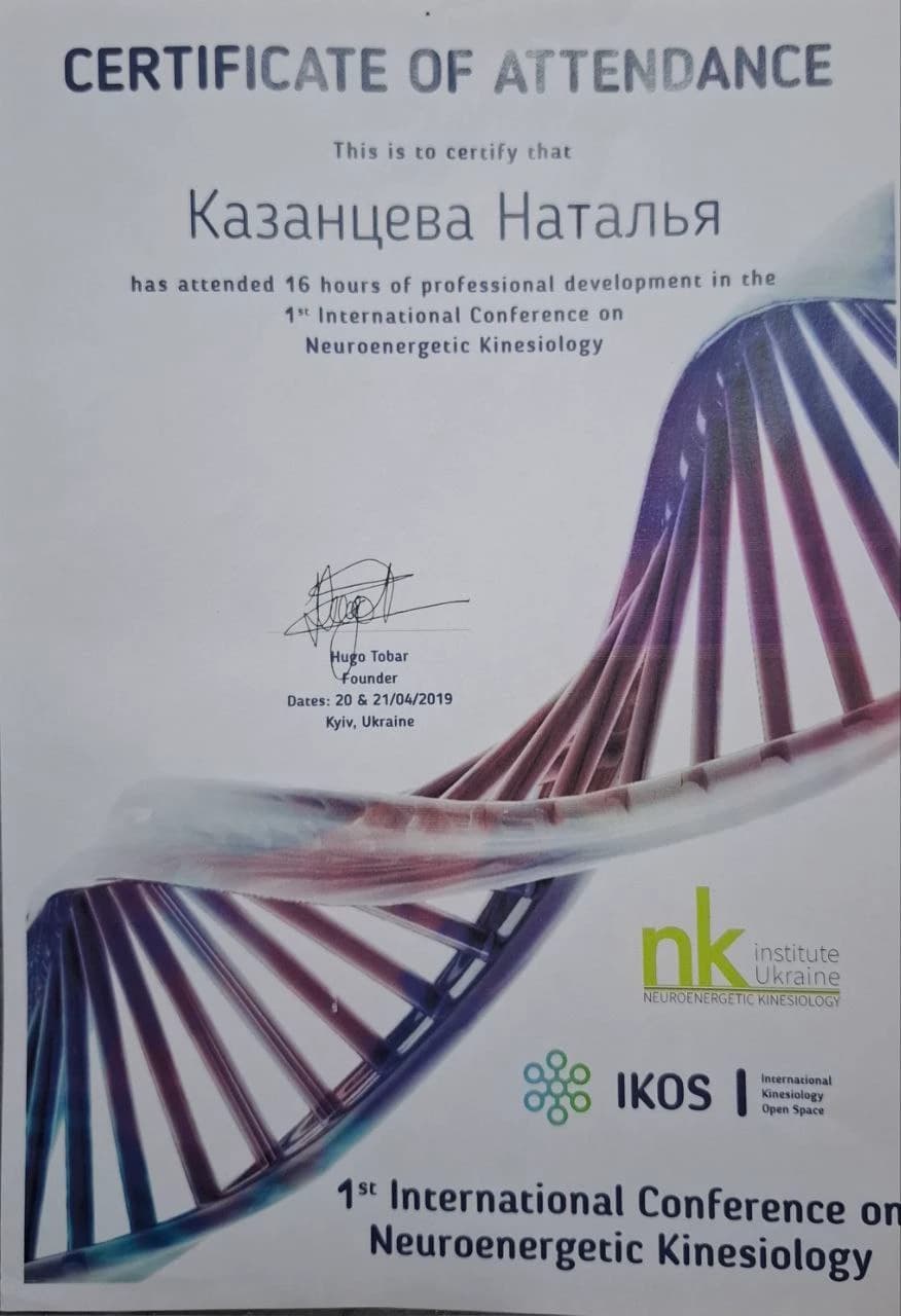 Neuroenergetic Kinesiology Conference — NK Institute, 2019